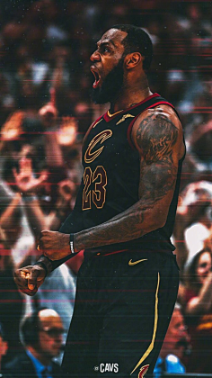 近年多支崛 近年多支崛